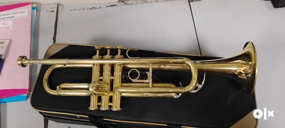Trumpet olx sales