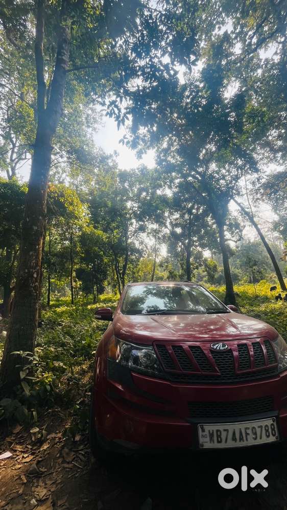 Car At Mint Condition