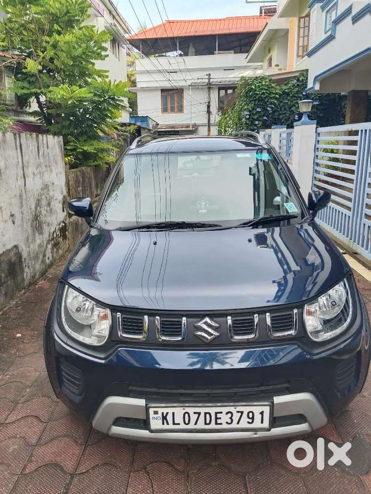 Maruti Suzuki Ignis 2024 Km Driven 3470