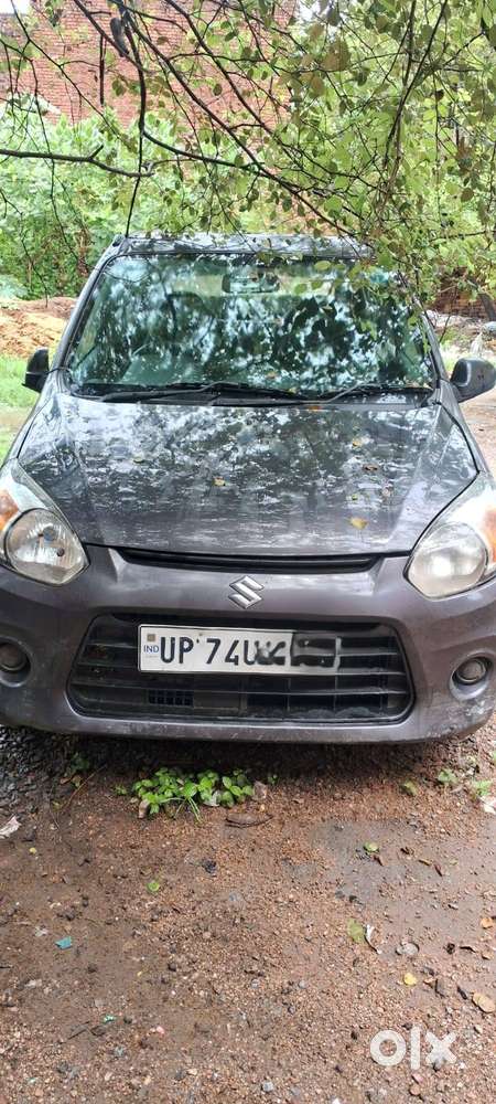 Alto 800 Vxi Model
