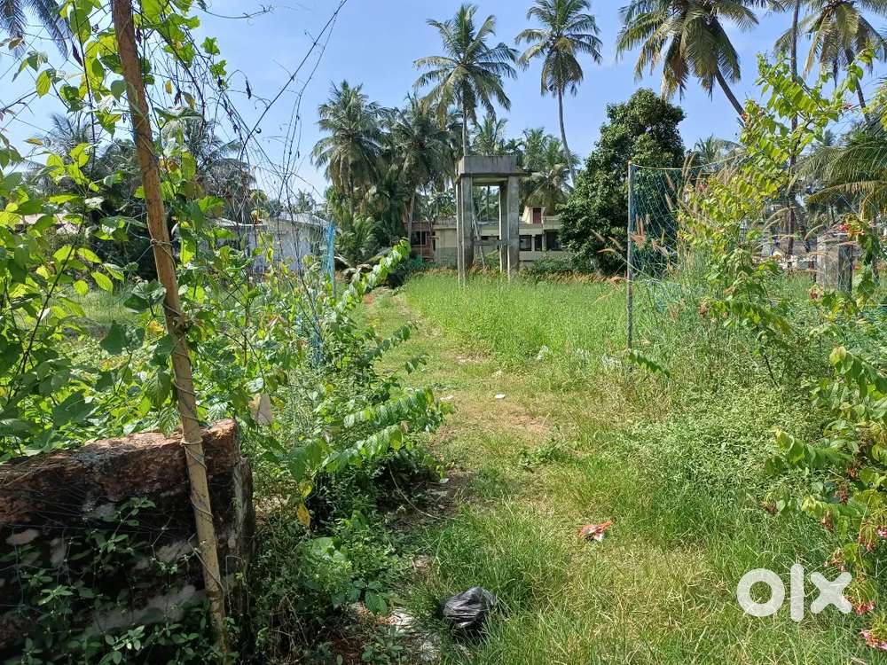 6CENT HOUSE PLOT FOR SALE NEAR MIMS CALICUT. Lands & Plots 1753135537