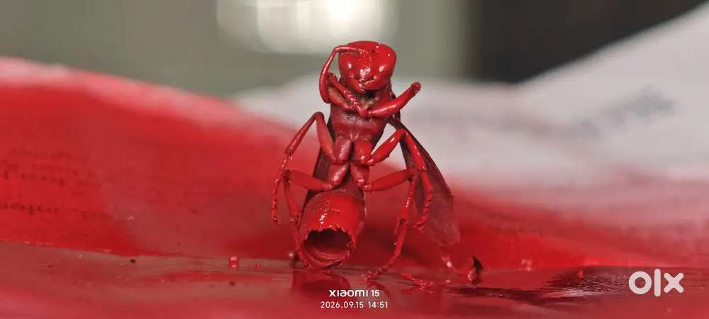 Bloody bee  art