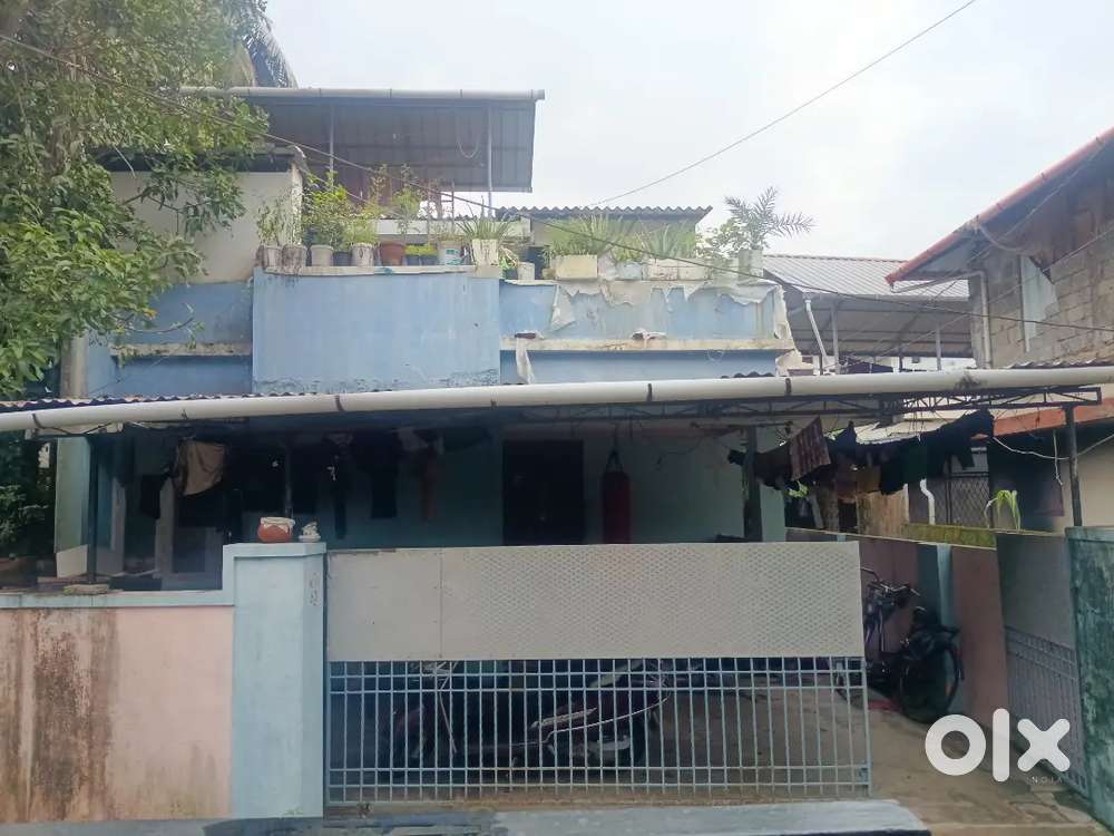 Behind Azad water tank, Eroor west, tripunithura, Ernakulam