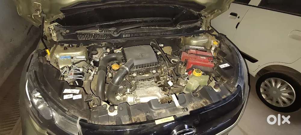 Tata Nexon Xza+ Lux (s) Kaziranga Edition