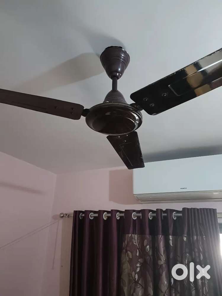 Celling fan