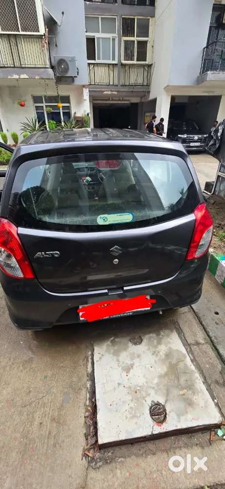 Maruti Suzuki Alto 800 Vxi 2019  1st Owner  Only 20,000 Km  Excelle