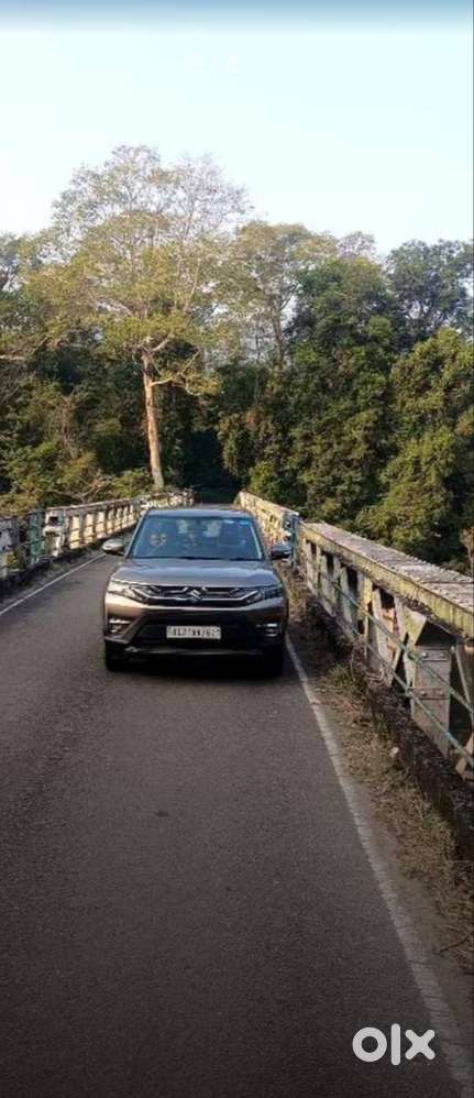 Maruti Suzuki Vitara Brezza 2025 Petrol Lxi