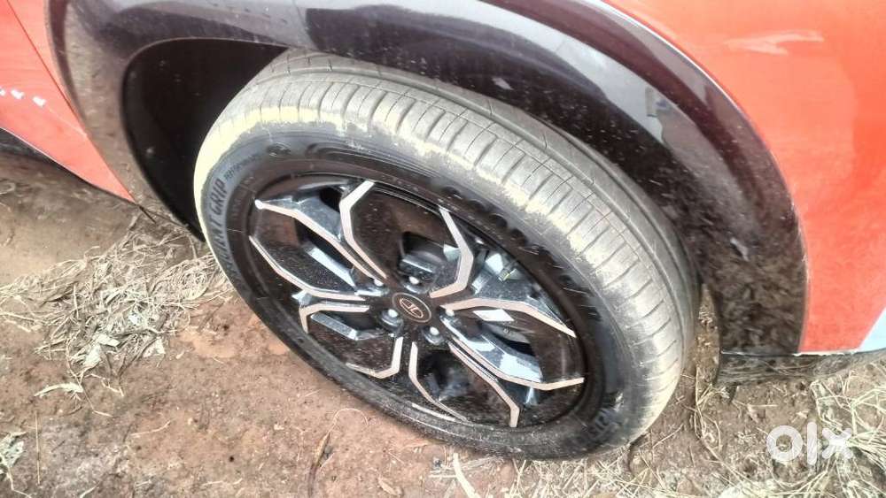 Tata Curvv Accomplished Plus A 1.5 Kryojet Diesel 6mt, 2024, Diesel