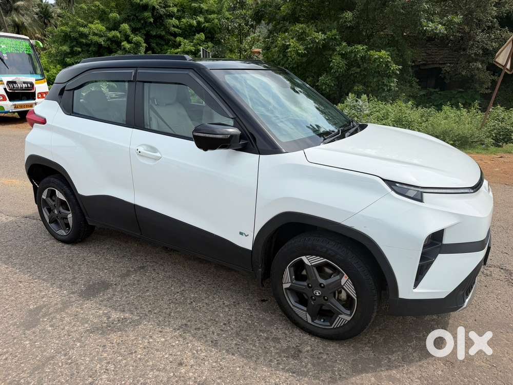 Tata Punch Ev 2024
