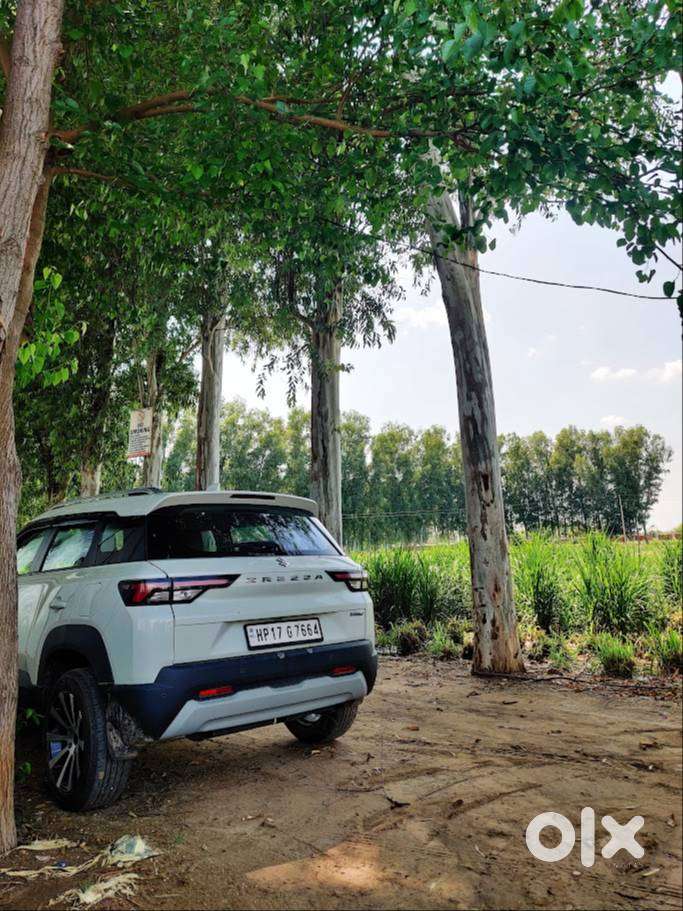 Maruti Suzuki Brezza 2023 Zxi Petrol Manual  Excellent Condition  Si