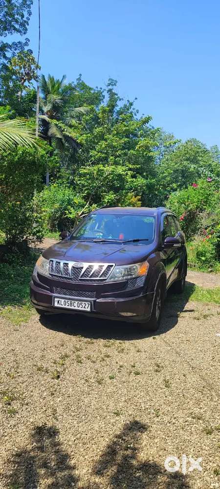 Xuv 500 Grape Colour