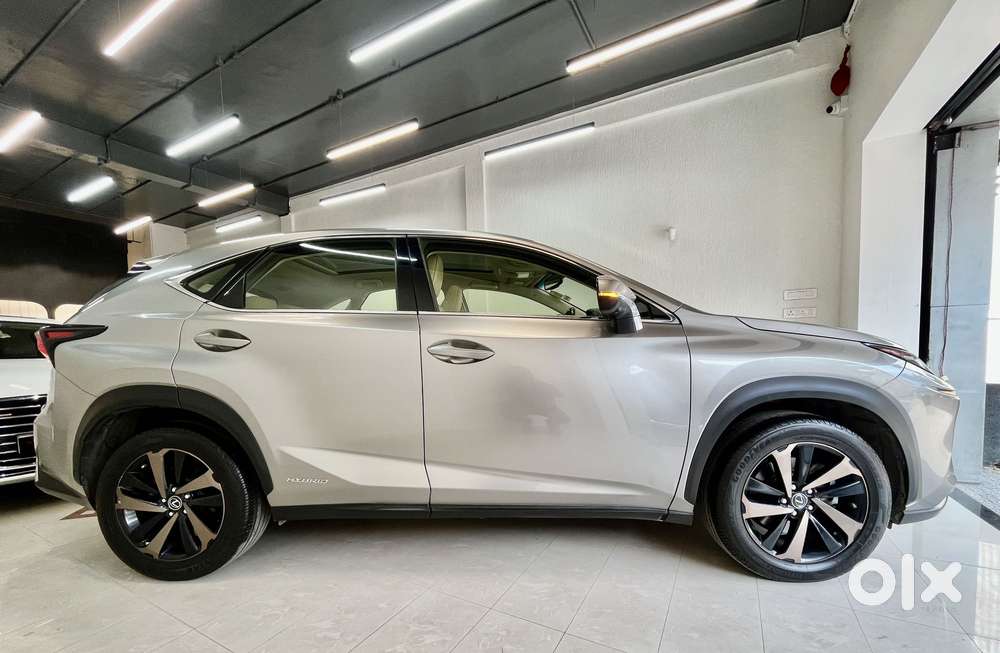 Lexus Nx Lexus-nx-300h-luxury, 2019, Petrol