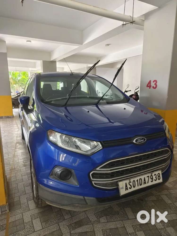 Ford Ecosport 2016 Petrol Well Maintained