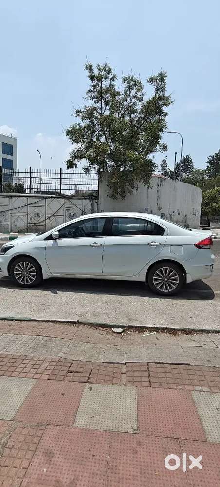 2021 Maruthi Ciaz Alpha Smart Hybrid 1.5 Petrol Automatic In Excellent