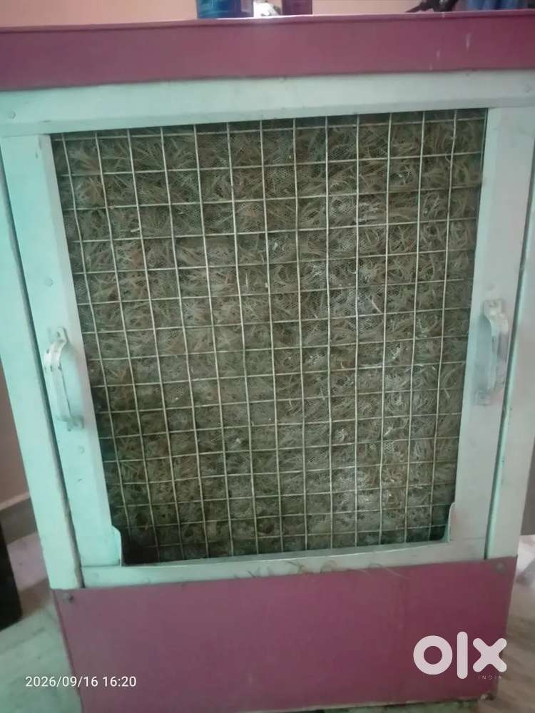 Iron Electric cooler