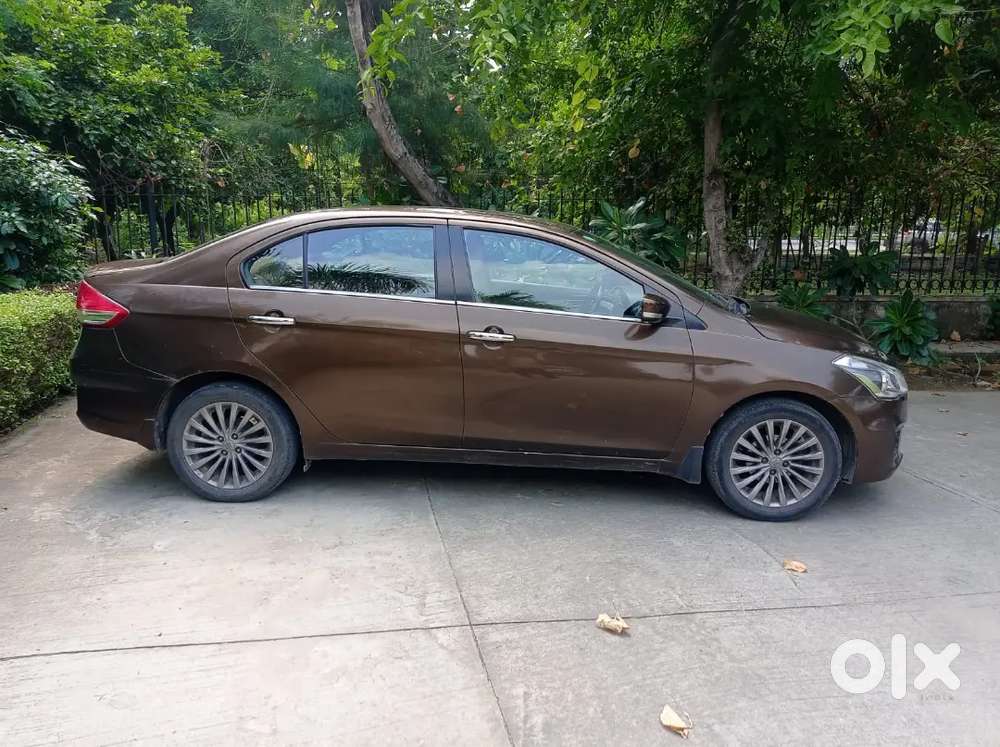 2015 Maruti Ciaz Zxi 1.4 Manual Petrol