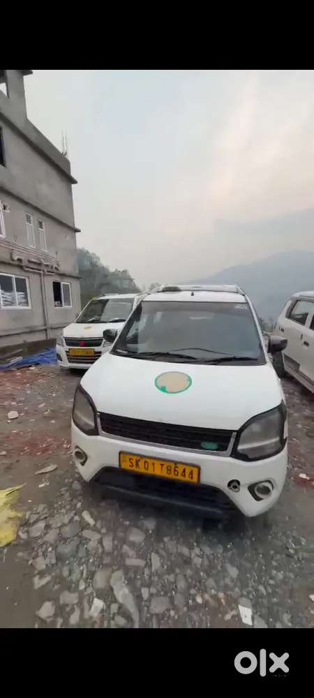 Model 2019 Wagonr Vxi