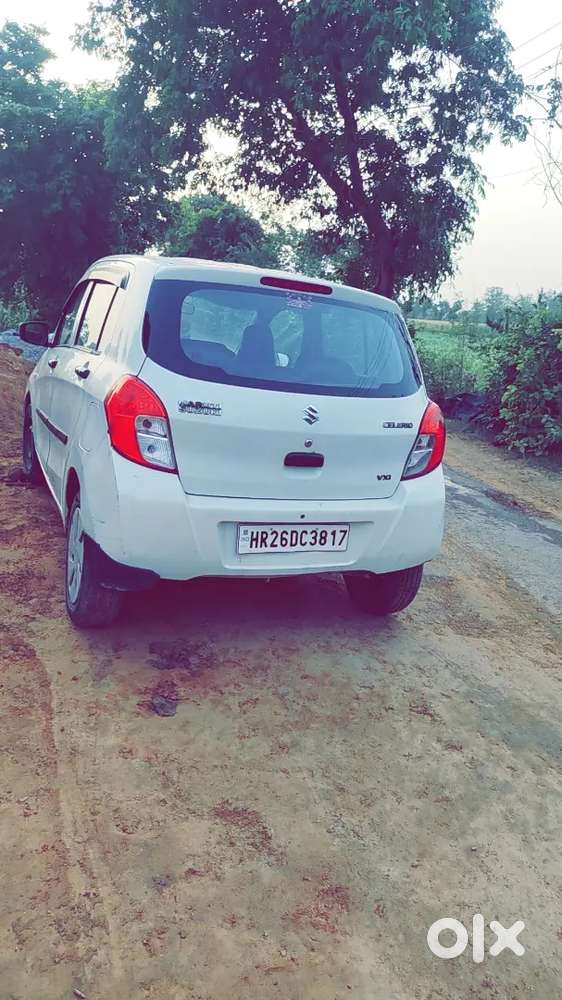 2021 Maruti Suzuki Celerio Cng Vxi  Excellent Condition