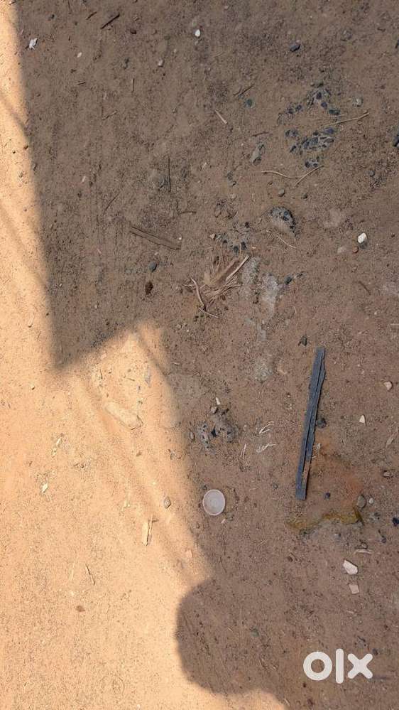 Datsun Go, 2017, Petrol