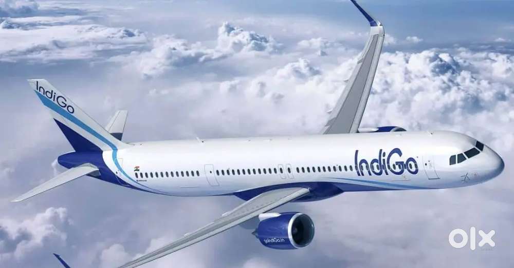 Both Candidates Hiring For Airport Ground Staff Job In Indigo Airlines