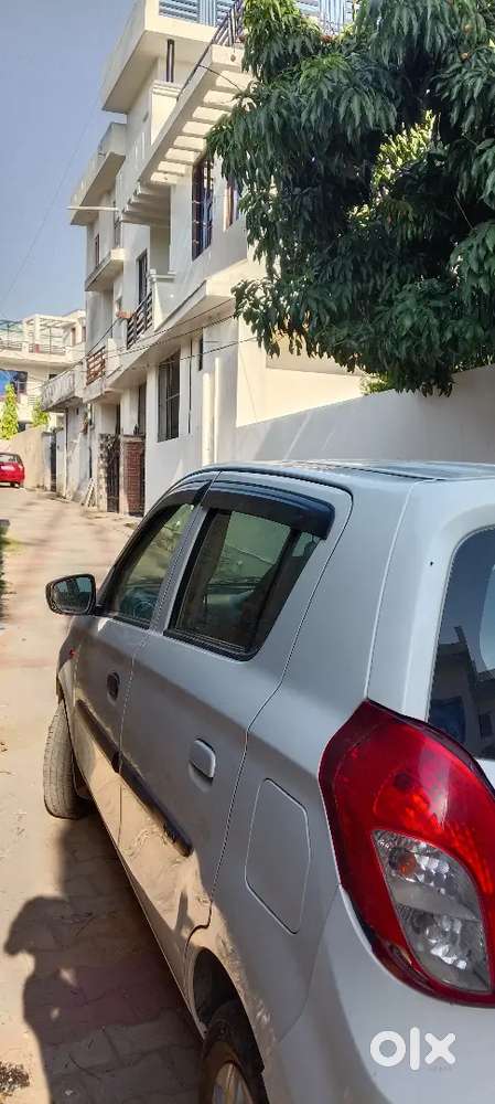 Maruti Suzuki 800 2019 Petrol Well Maintained