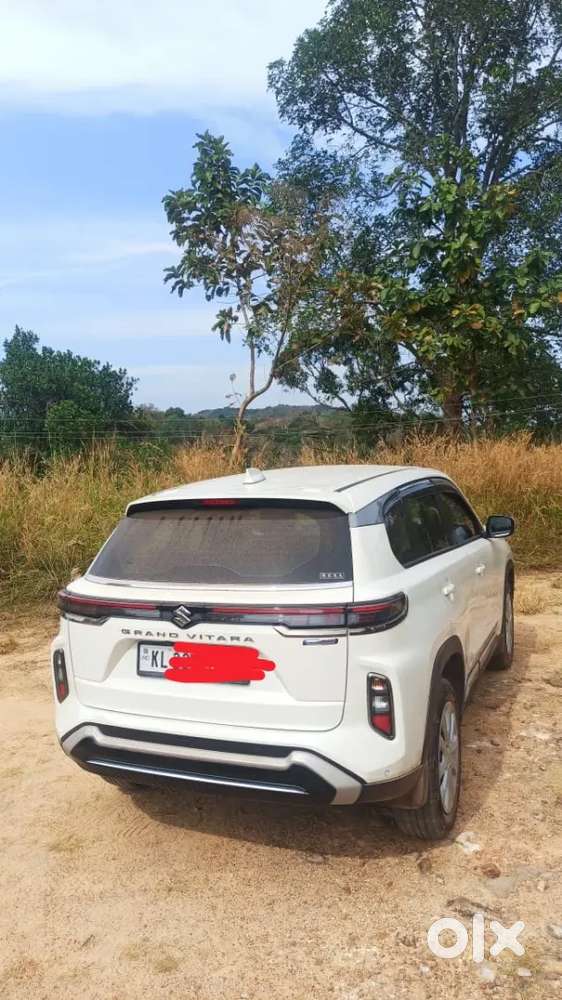 Maruti Suzuki Grand Vitara 7 Seater 2025 Petrol 25000 Km Driven
