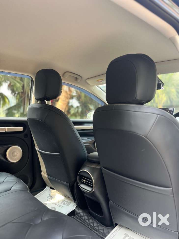 Mg Windsor Ev Exclusive, 2025, Electric