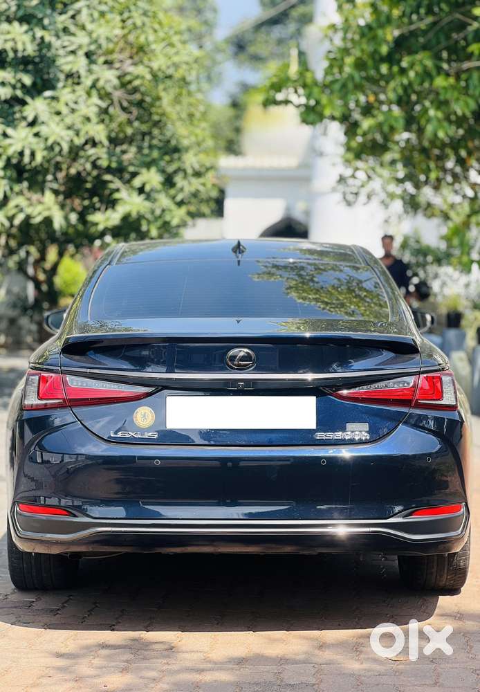 Lexus Es 300h Luxury, 2020, Petrol