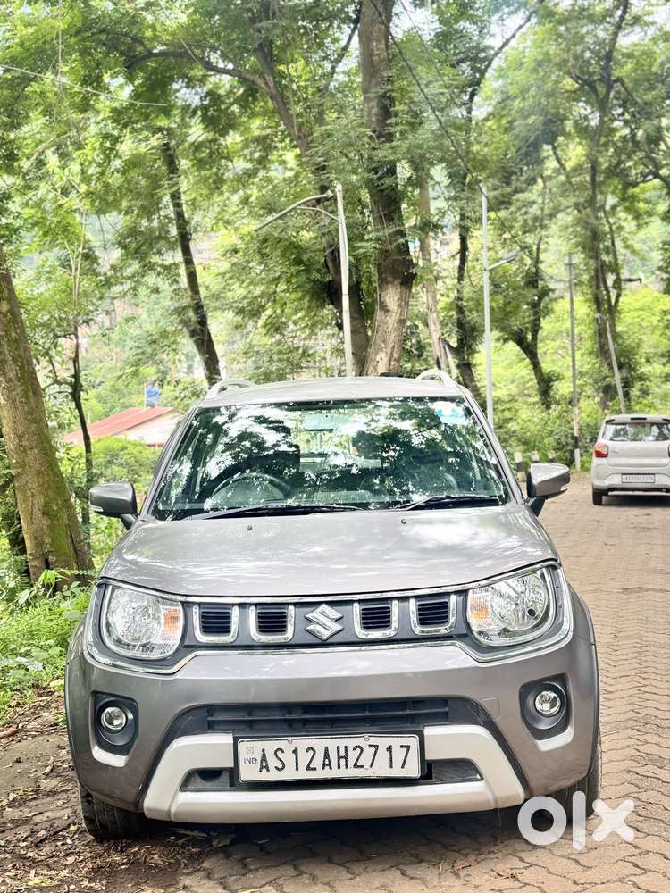 Maruti Suzuki Ignis 1.2 Delta Mt, 2023, Petrol