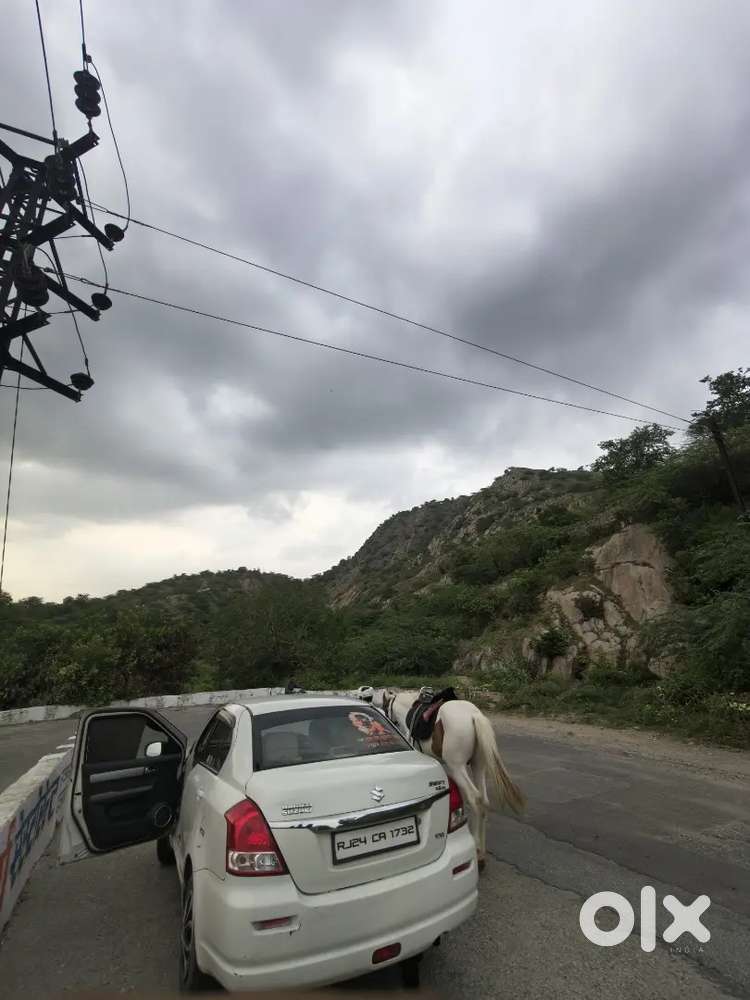 Maruti Suzuki Dzire 2010 Car