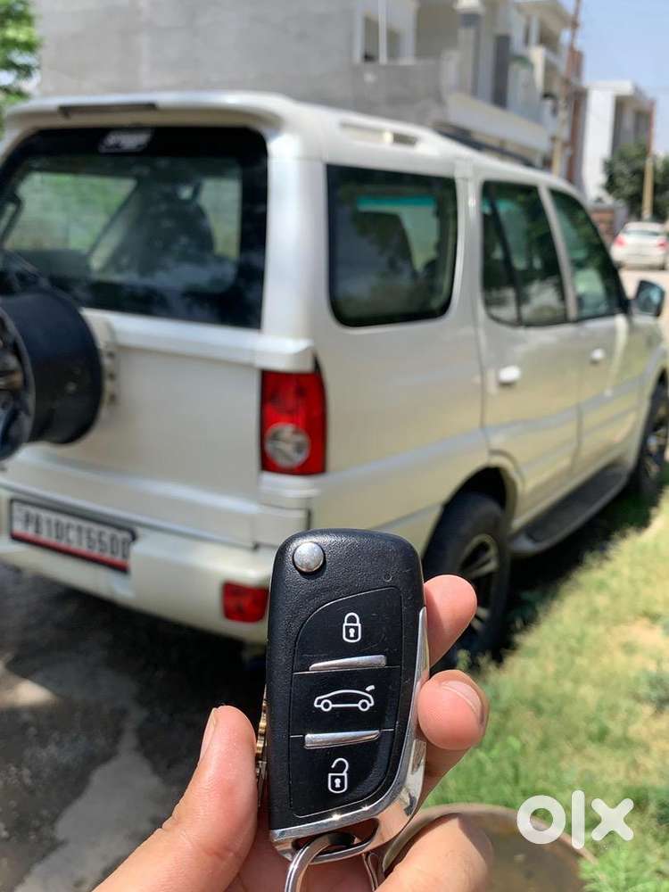 Tata Petrol Diesel 2010