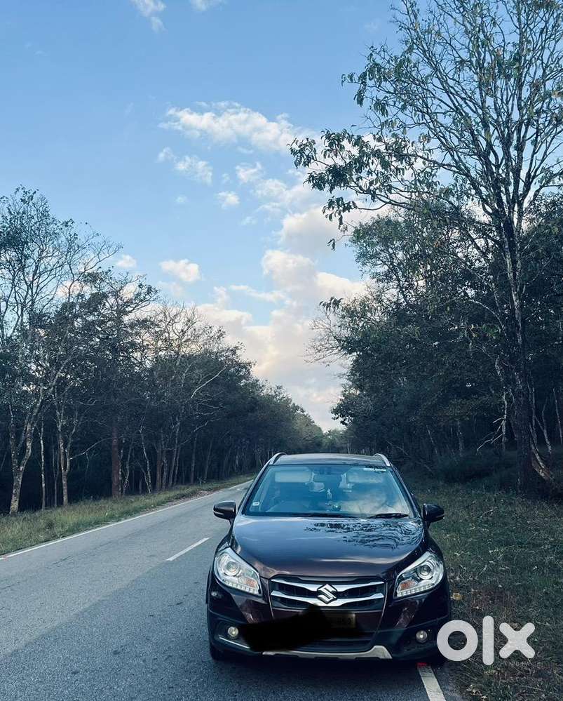 Maruti Suzuki Diesel 2015