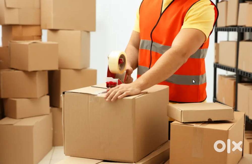 URGENT NEED HELPER // PACKING // SCANNING // DELIVERY EXECUTIVE - Other ...