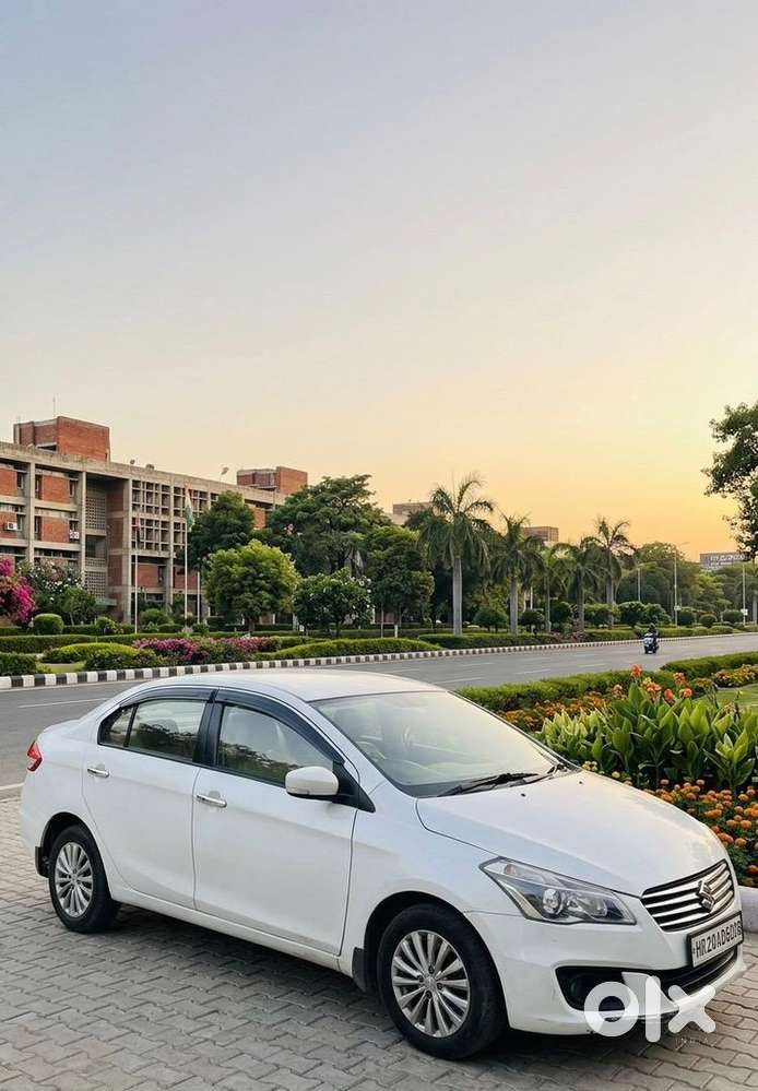 Maruti Suzuki Ciaz 2015 Diesel Well Maintained