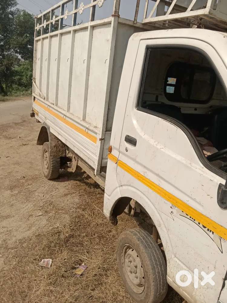 Chota Bulbul