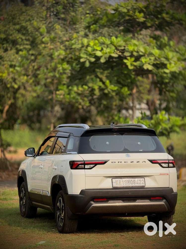 Maruti Suzuki Petrol 2025