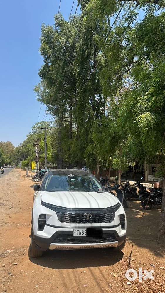 Tata Safari 2023 Diesel 38000 Km Driven