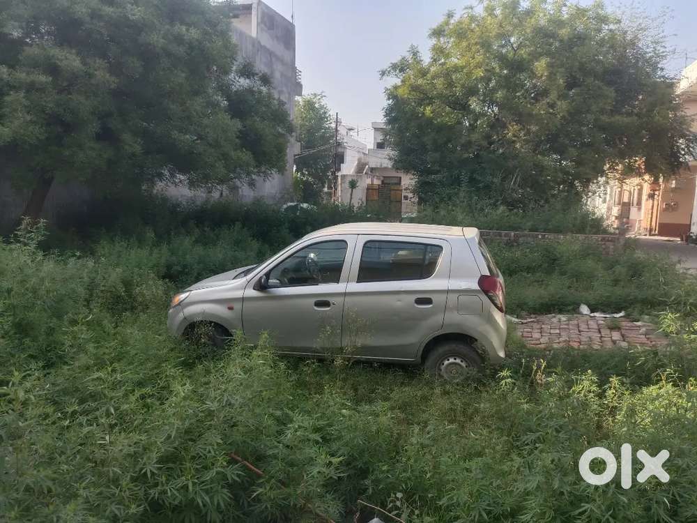 Maruti Suzuki Alto 800 2017 Cng & Hybrids Well Maintained