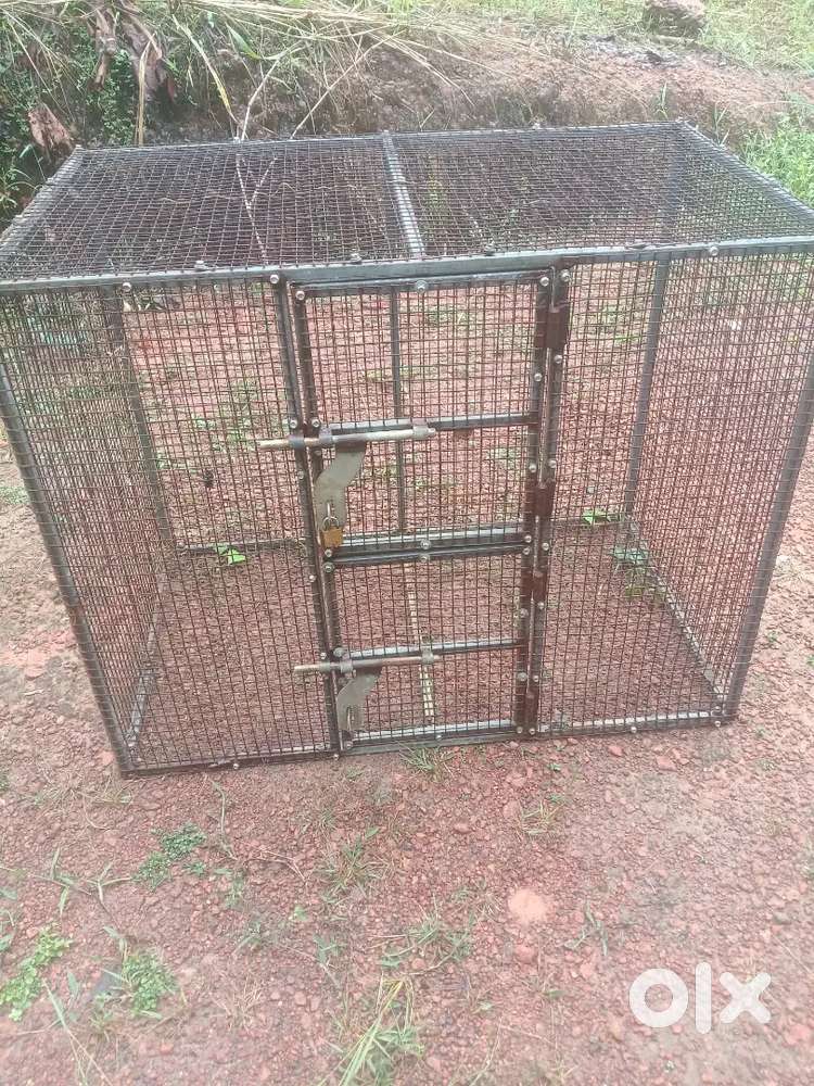 പക്ഷി കൂടു