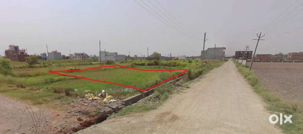 Prabal Homes, Bigwara, Ward No. 16, Village Bigwara, Tehsil Rudrapur,