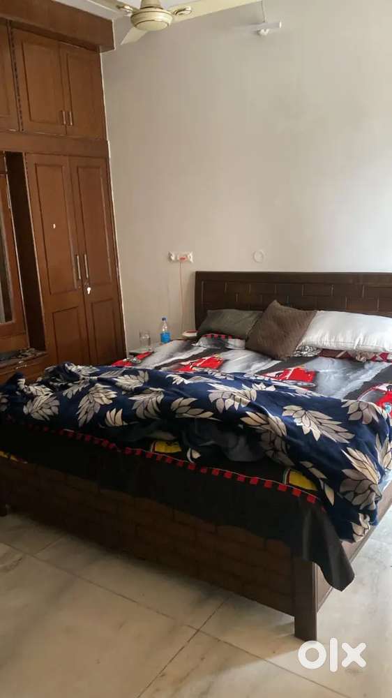 Need girl roommate