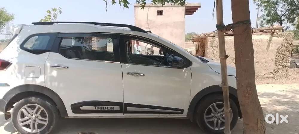 रेनाल्ट टीरीबर