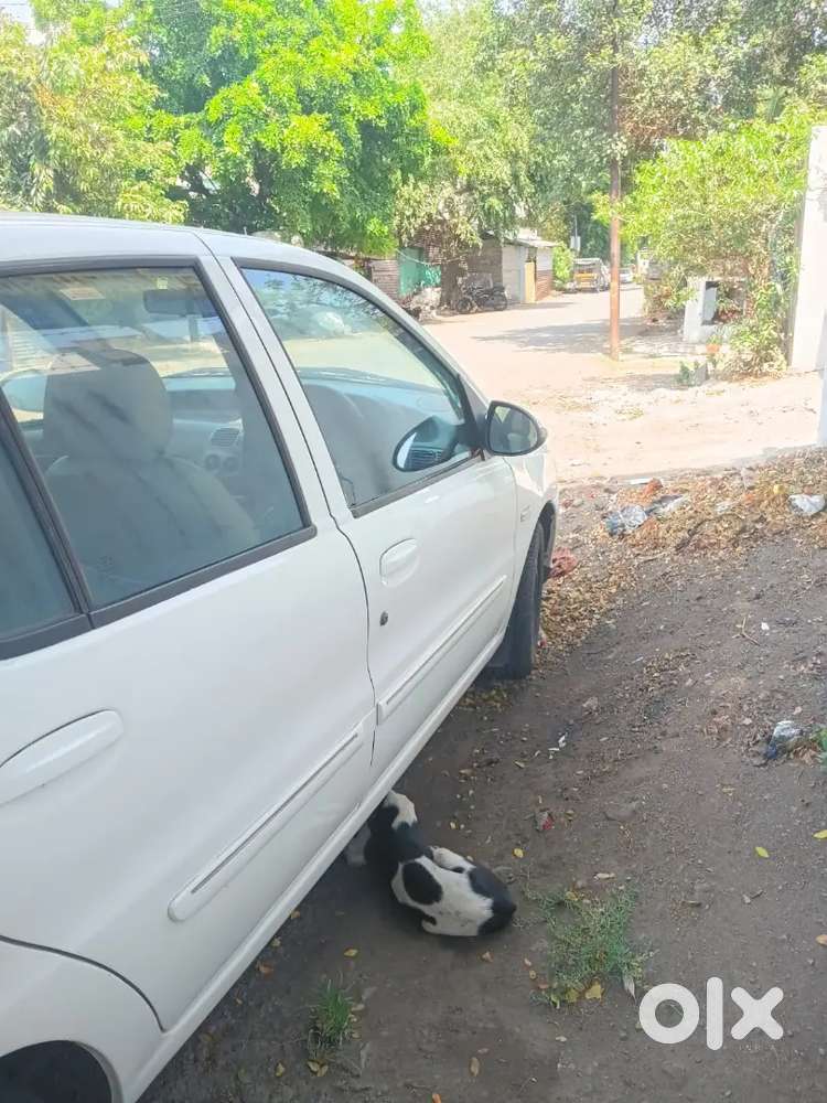 Selling Car