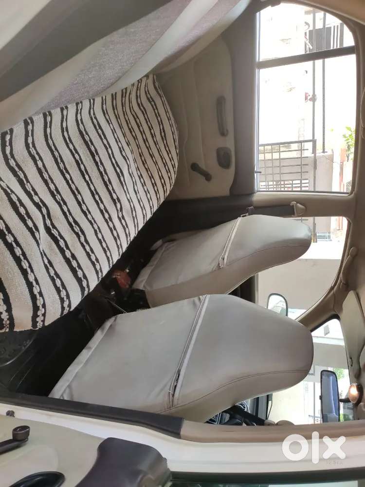 Hyundai Santro Xing 2010 Car