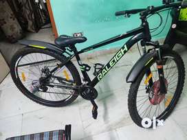 Raleigh big sam 21 speed price online