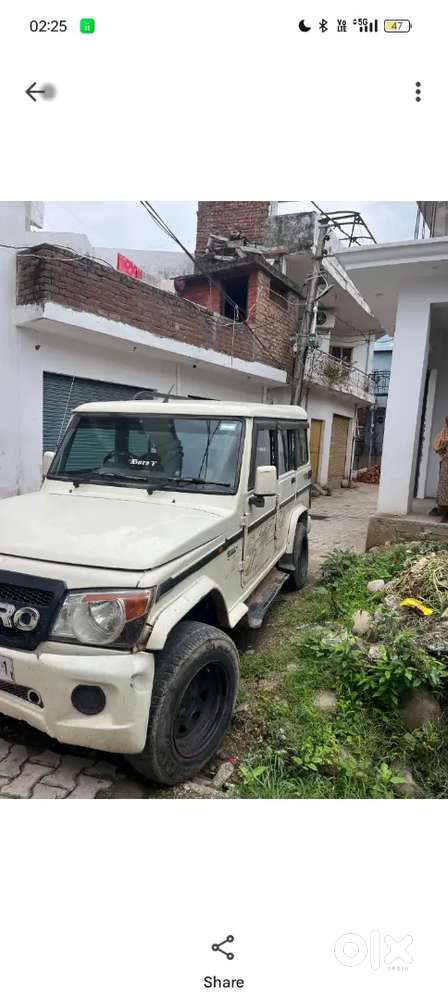 Bolero For Sale