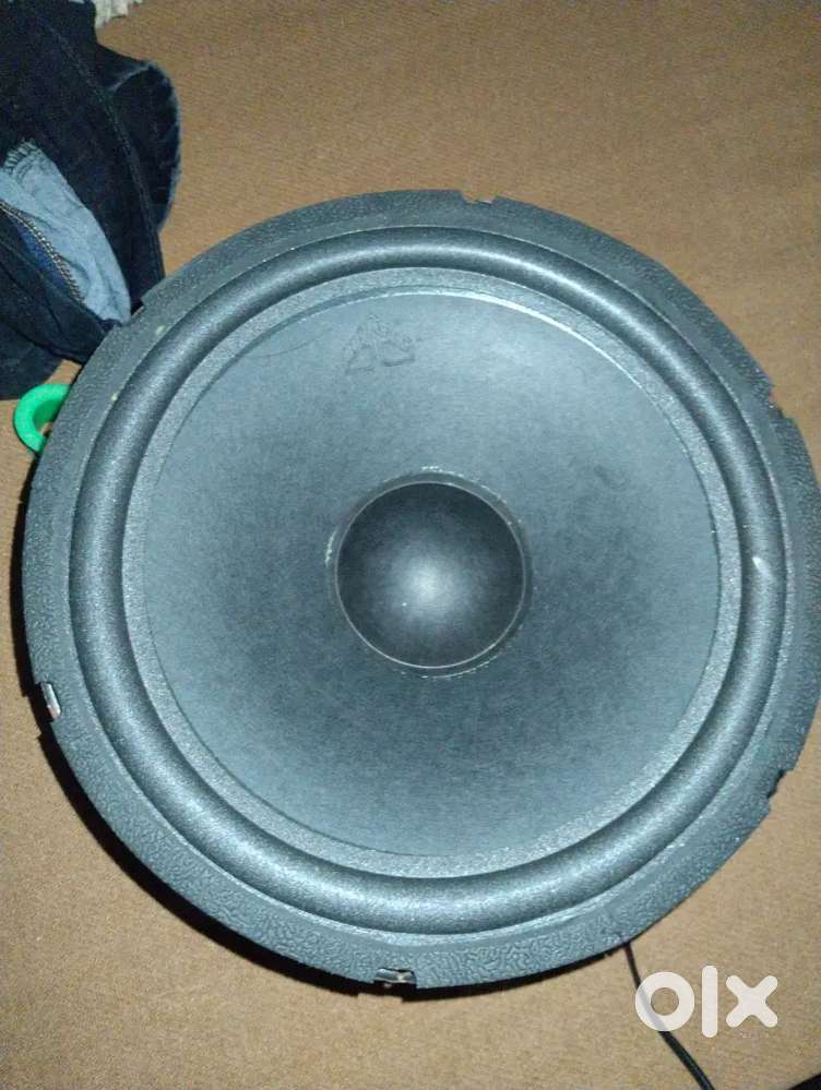 Speaker 10 inchi