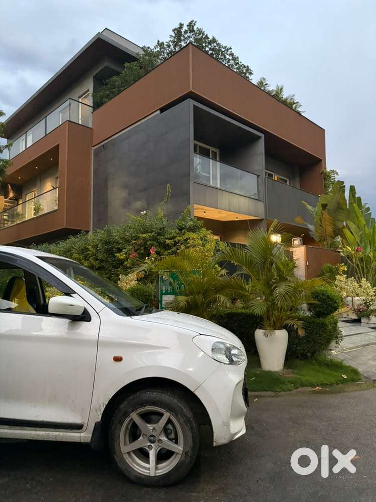 Maruti Suzuki Alto 2024