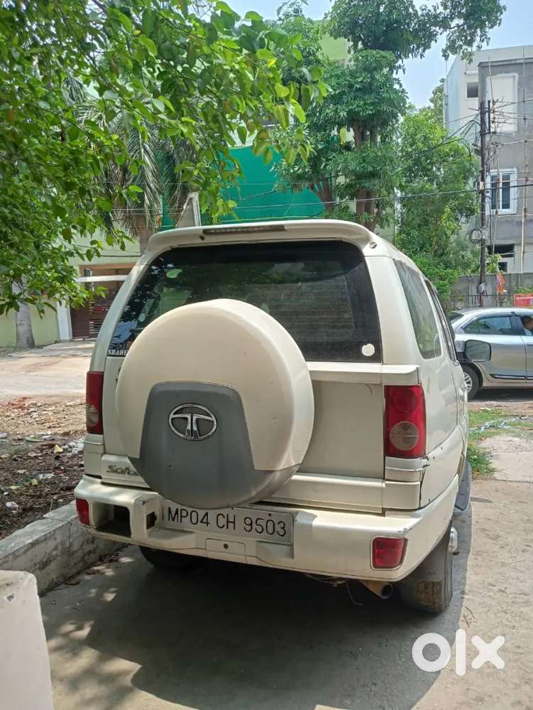 White Safari 2011 Model