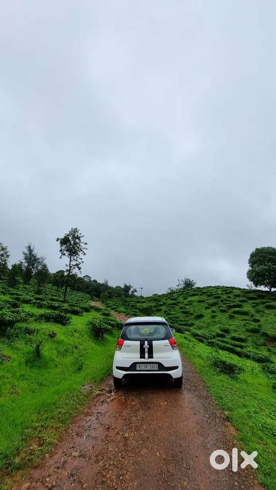 Hyundai Santro 2019 Petrol Well Maintained